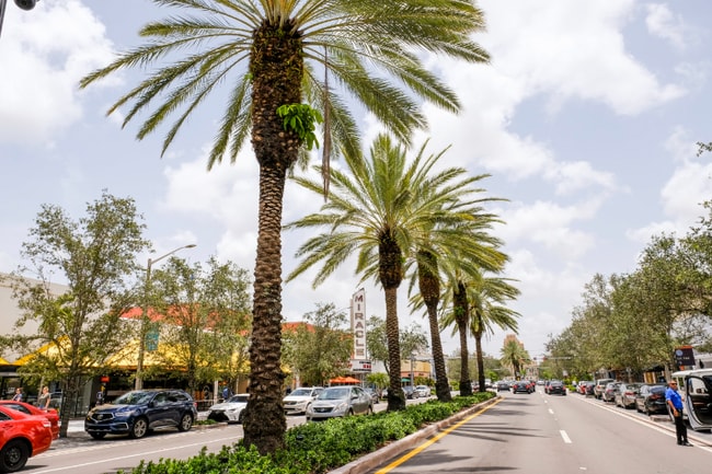 131 Antiquera Ave in Coral Gables, FL - Building Photo - Building Photo