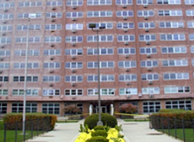 Lidia Pucinska Apartments & Annex in Chicago, IL - Building Photo