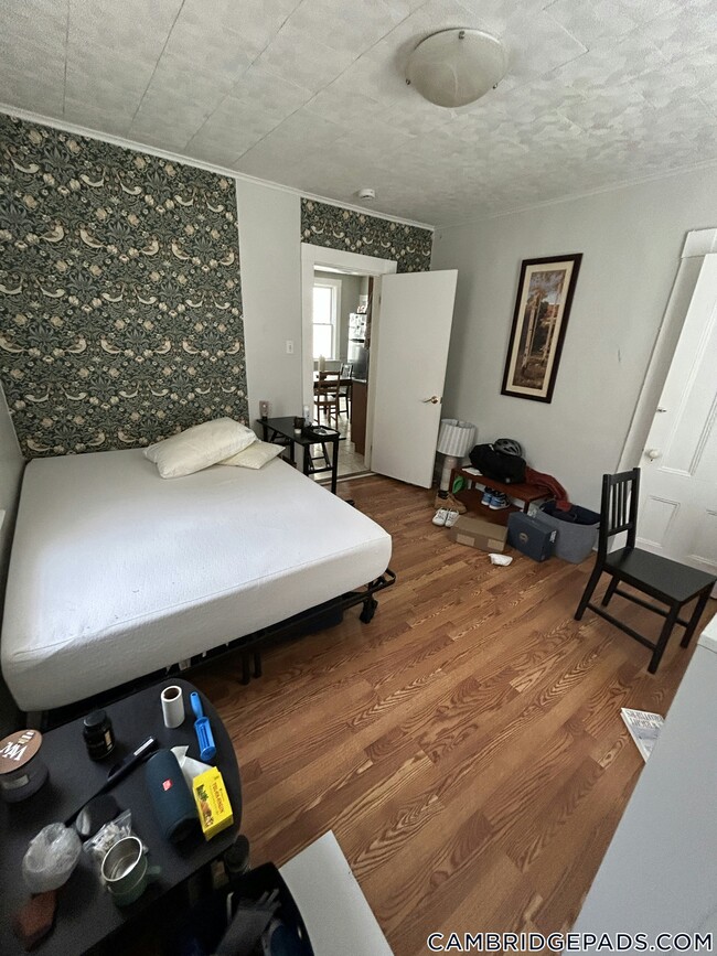 273 Cardinal Medeiros Ave in Cambridge, MA - Building Photo - Building Photo