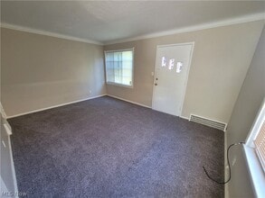 255 E 250th St in Euclid, OH - Building Photo - Building Photo