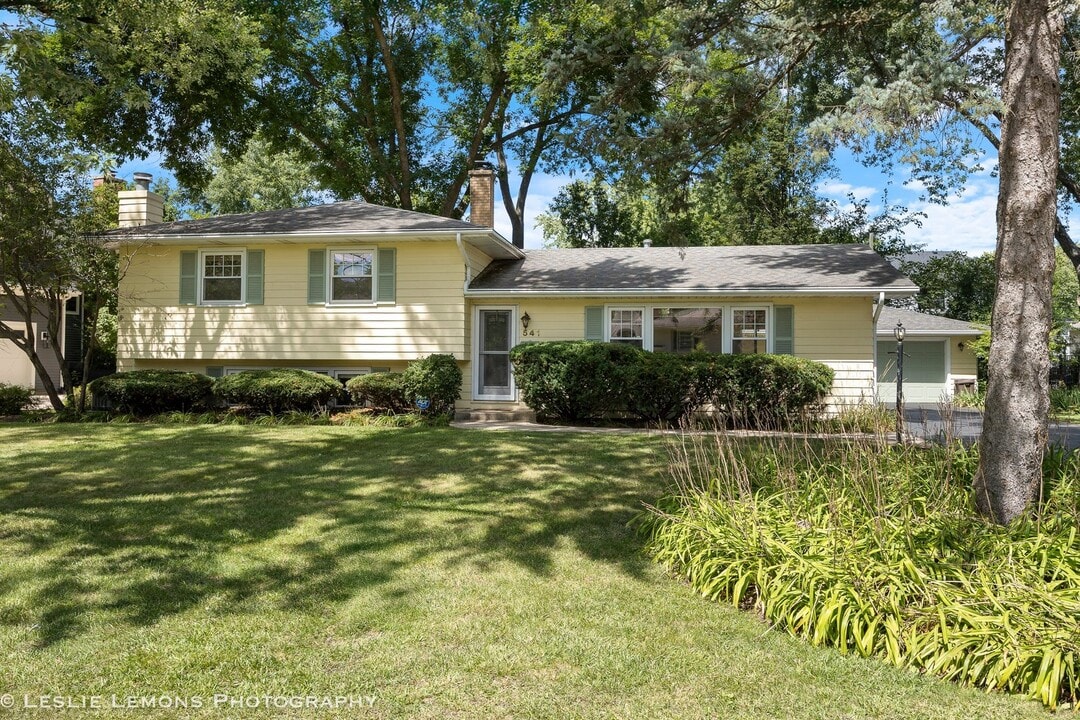 541 Cypress Dr in Naperville, IL - Building Photo