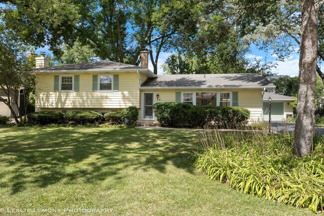 property at 541 Cypress Dr