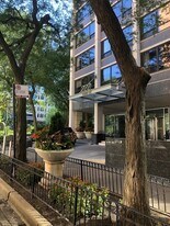 222 E Pearson St in Chicago, IL - Building Photo