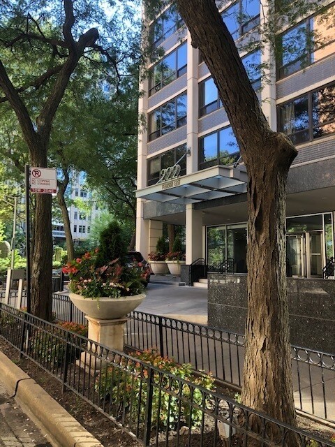 222 E Pearson St in Chicago, IL - Building Photo