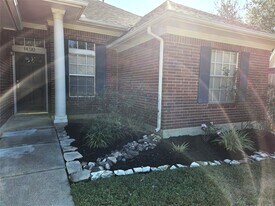 14310 Windsor Oaks Ln in Houston, TX - Building Photo