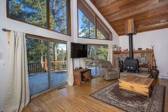 204 Skidoo Rd in Fairplay, CO - Building Photo - Building Photo