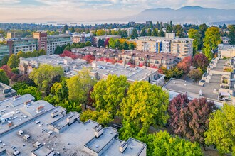 The Carlings at Arbutus Walk in Vancouver, BC - Building Photo - Building Photo