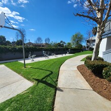 Oak Hill Apartments in Escondido, CA - Building Photo - Building Photo