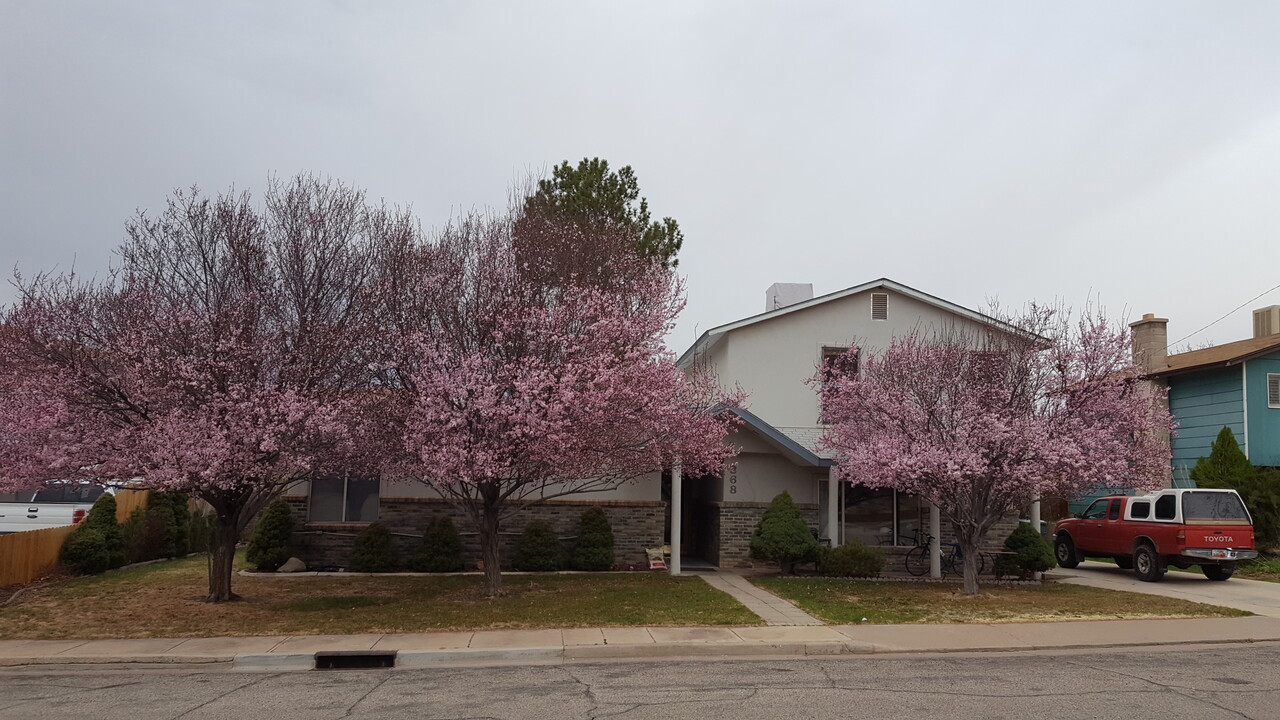 368 Hillside Dr in Moab, UT - Building Photo