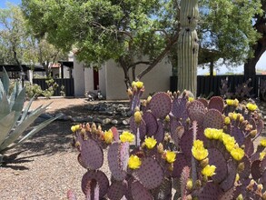 5454 N La Casita Dr in Tucson, AZ - Foto de edificio - Building Photo