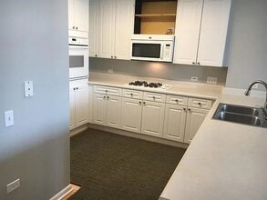 1511 S Prairie Ave, Unit 1 in Chicago, IL - Building Photo - Building Photo