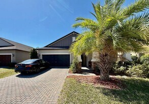 10143 Count Fleet Dr in Ruskin, FL - Building Photo