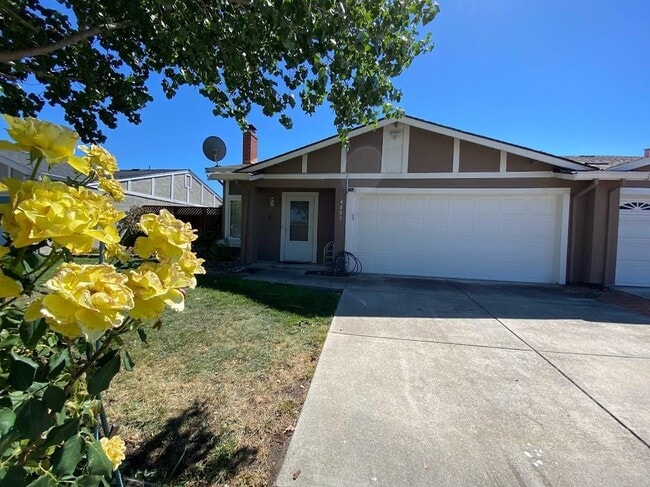 4085 Bristlecone Way in Livermore, CA - Foto de edificio - Building Photo