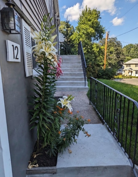 12 James St in Winchester, MA - Building Photo - Building Photo