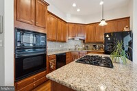 25126 Andes Terrace in Stone Ridge, VA - Foto de edificio - Building Photo