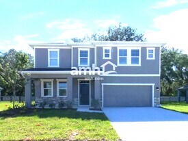 3366 Bridge Haven Dr in Wesley Chapel, FL - Building Photo
