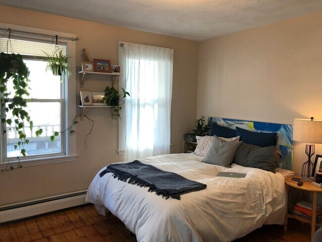 17 Endicott Ave, Unit 6 in Somerville, MA - Building Photo - Building Photo