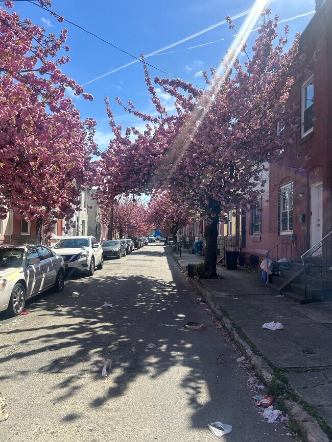1641 Edgley St in Philadelphia, PA - Foto de edificio - Building Photo