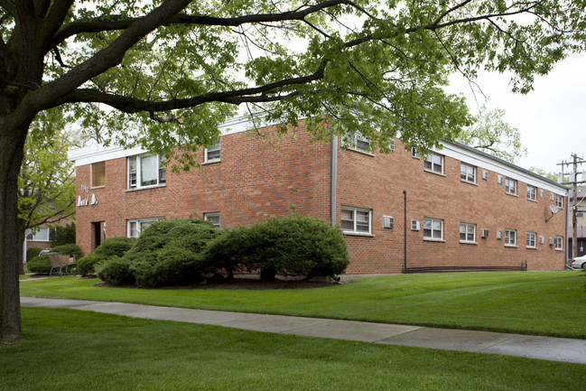 1143 David Dr in Bensenville, IL - Foto de edificio - Building Photo