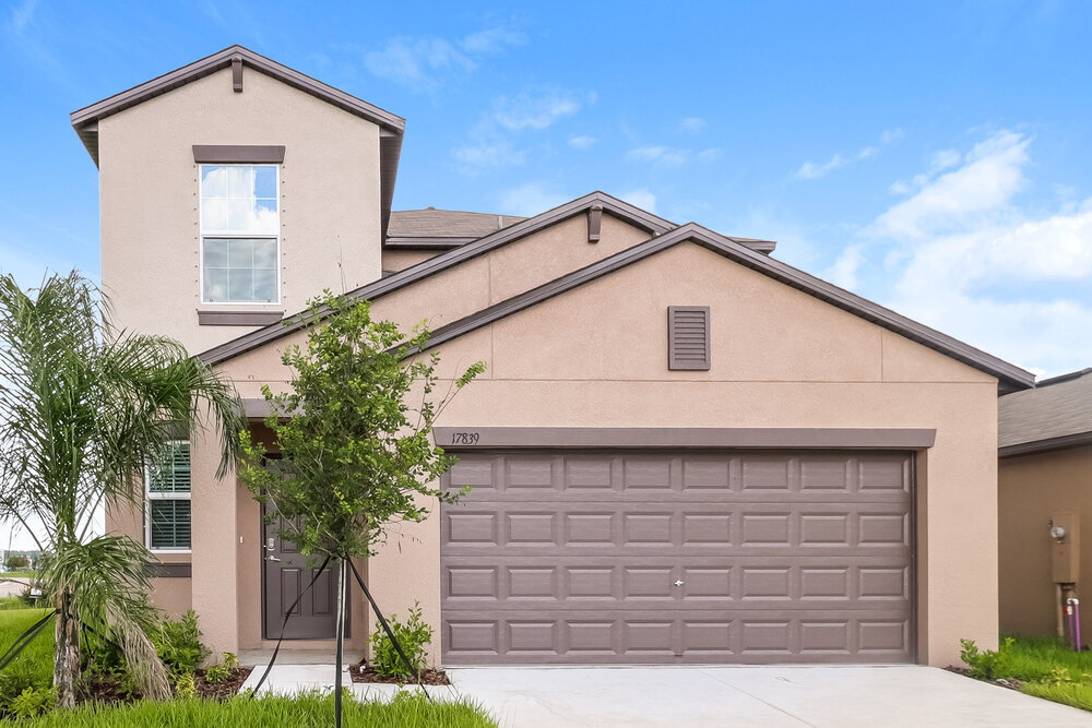 17839 Cloudless Bliss Dr in Lutz, FL - Building Photo