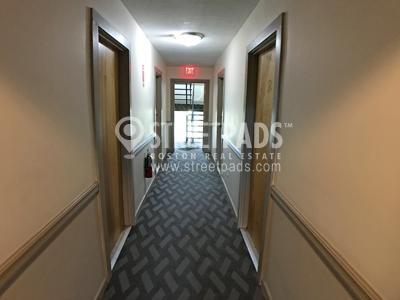 226 Parker Hill Ave in Boston, MA - Building Photo - Building Photo