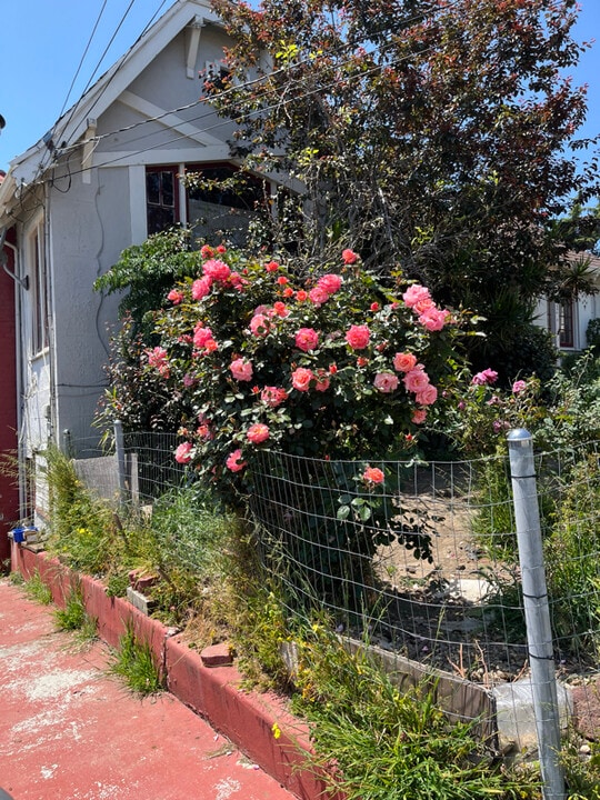 6127 Majestic Ave in Oakland, CA - Building Photo