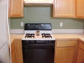 2111 N Fork Dr in Lafayette, CO - Building Photo - Building Photo