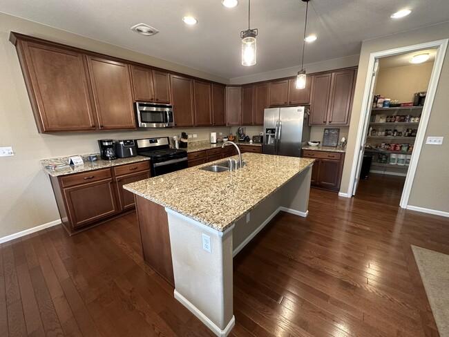 7175 Mountain Spruce Dr in Colorado Springs, CO - Building Photo - Building Photo