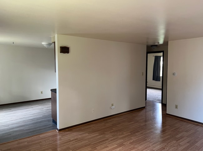 313 Central Ave, Unit 1 in Lancaster, NY - Building Photo - Building Photo