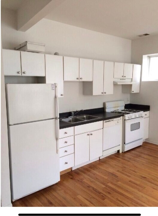 1022 N Damen Ave in Chicago, IL - Building Photo