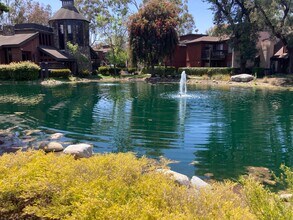 1101 Summertime Ln in Culver City, CA - Building Photo - Building Photo