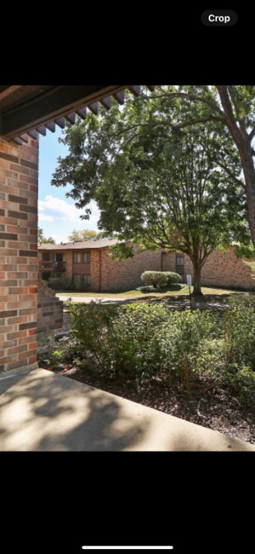 1100 E Randville Dr, Unit 103 in Palatine, IL - Foto de edificio - Building Photo