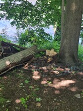 700 Lawrence St in Watertown, NY - Building Photo - Building Photo