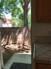 928 N Campbell Ave in Tucson, AZ - Building Photo - Building Photo