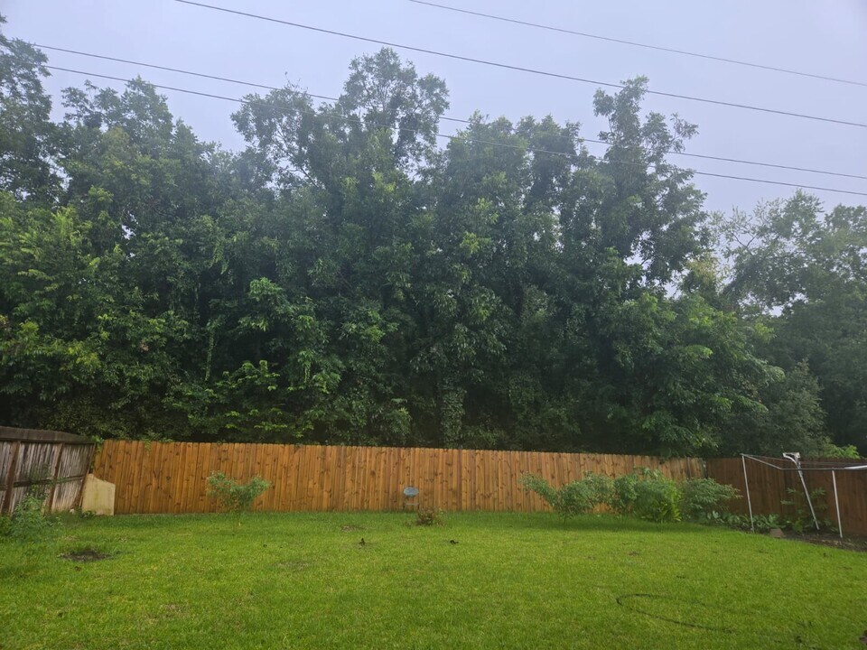 15523 Seminole Canyon Dr in Sugar Land, TX - Building Photo