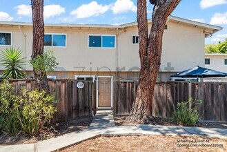 3385 La Selva St in San Mateo, CA - Building Photo - Building Photo