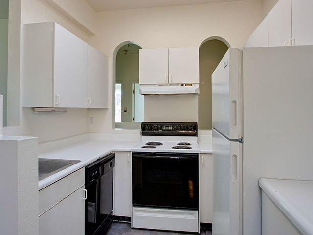 2411 Stout St in Denver, CO - Building Photo - Building Photo