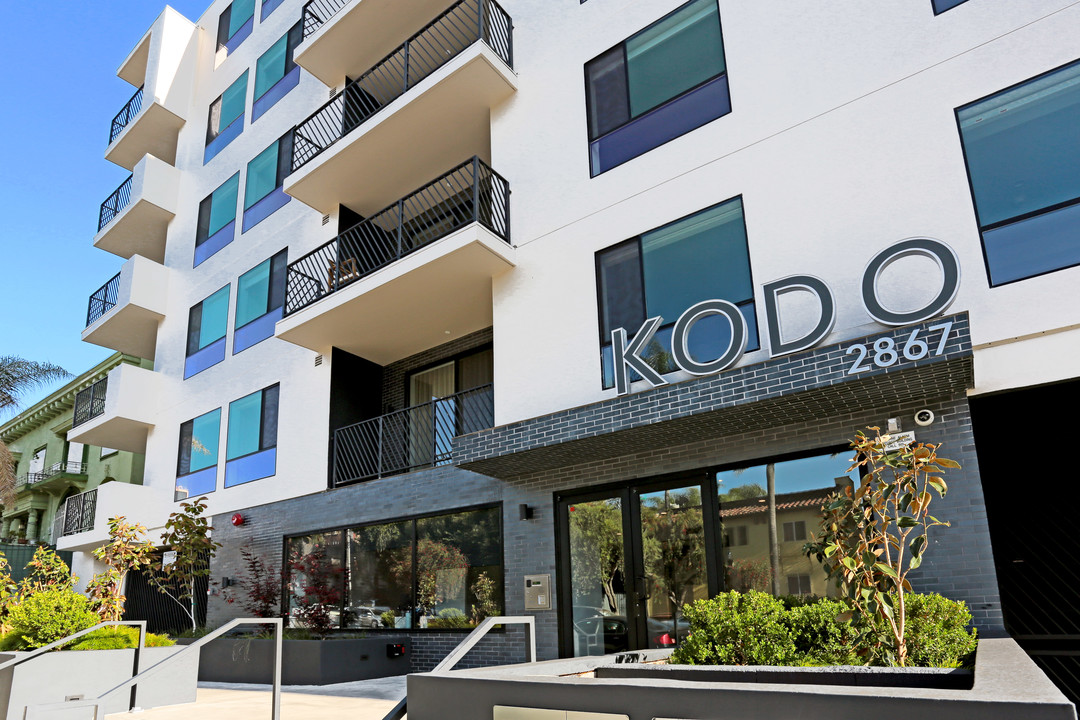 Kodo Photo