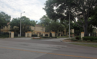 The Pinnacle at Carrollwood Apartments