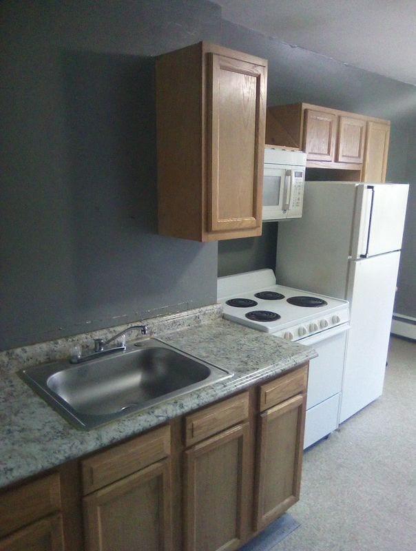 133 Lake St in Liberty, NY - Foto de edificio - Building Photo