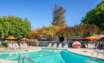 The Shadows Apartments in Mountain View, CA - Building Photo - Building Photo