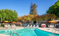 The Shadows Apartments in Mountain View, CA - Building Photo - Building Photo