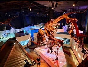 2010 St Charles St in Houston, TX - Building Photo - Building Photo