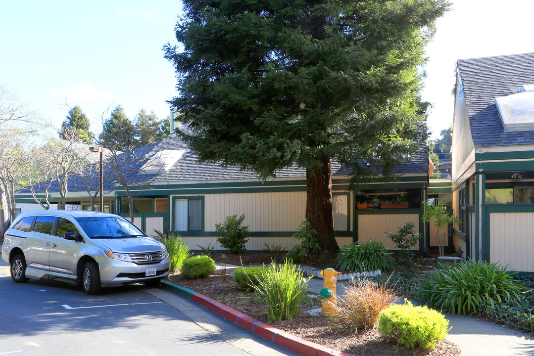 Camino Alto Apartments in Mill Valley, CA - Building Photo