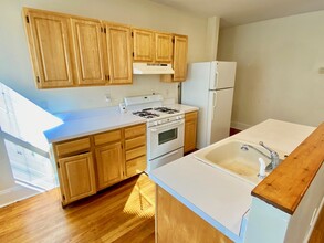 33 Adamson St, Unit 2 in Boston, MA - Building Photo - Building Photo