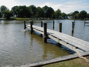 307 Irene Way in Stevensville, MD - Building Photo - Building Photo