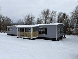 208 Slate Hill Rd in Telford, TN - Building Photo