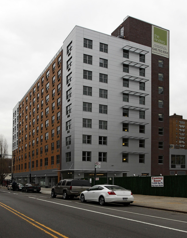 The Andrea in Brooklyn, NY - Foto de edificio - Building Photo