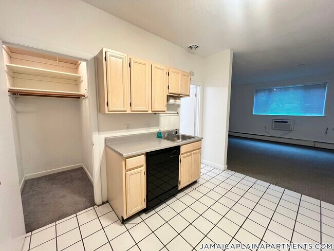 50 Evergreen St in Boston, MA - Building Photo - Building Photo