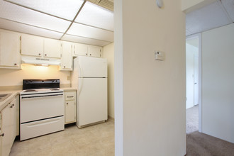 Lindru Gardens in Clearwater, FL - Foto de edificio - Building Photo